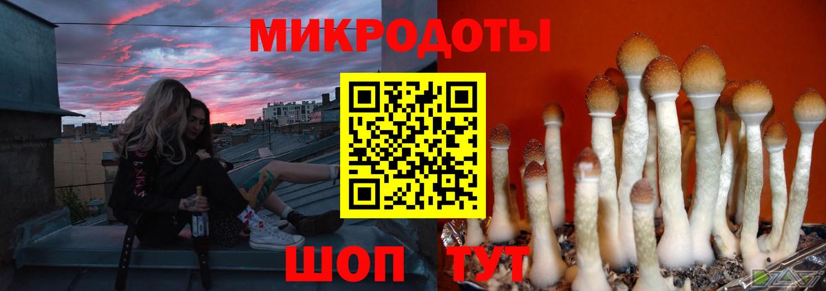 Псилоцибиновые грибы мухоморы  Вход с VPN  цена наркотик  Белореченск 